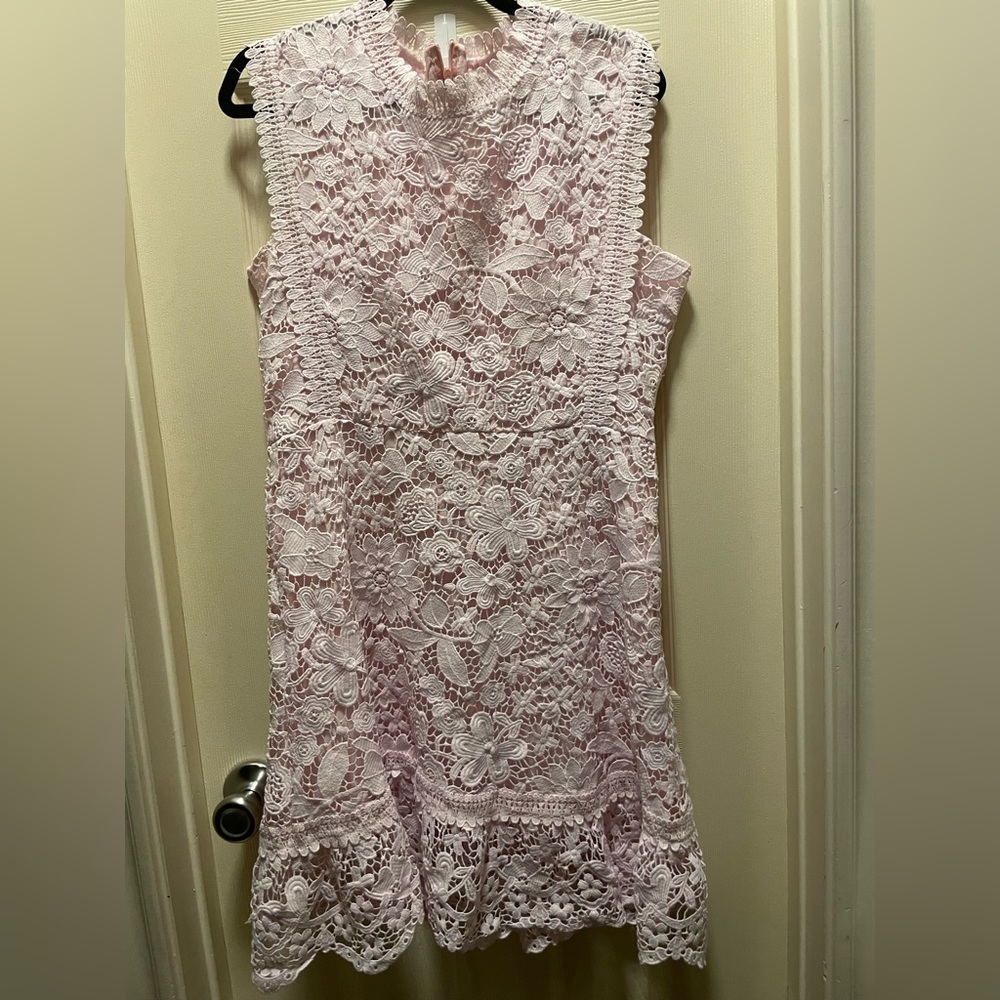 Pink lace Dress